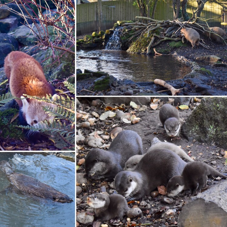 6C80D634-1052-4178-9F0C-F2D3E7336BEE