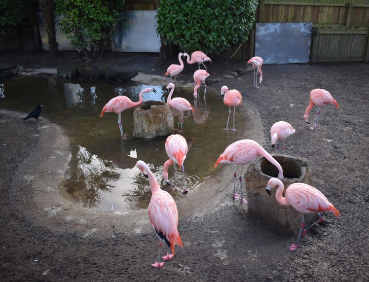 78AA1932-AAB4-4D89-8655-FFC76269F406