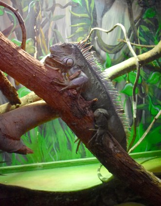 7EB94A4D-EC14-4A8C-B4B5-D423FB93C855