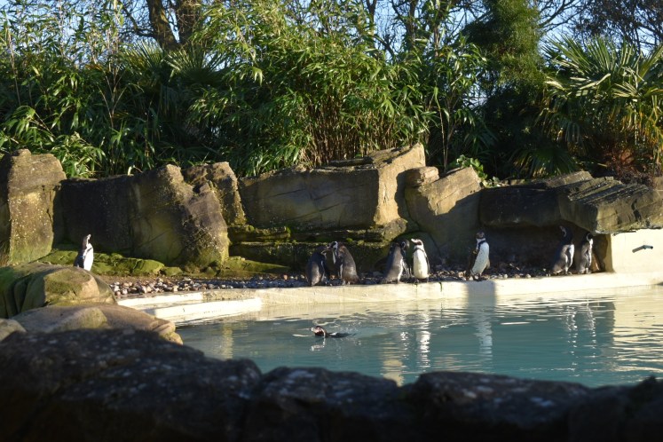 B79CFE28-C1D4-4D81-A479-E2C00E072196