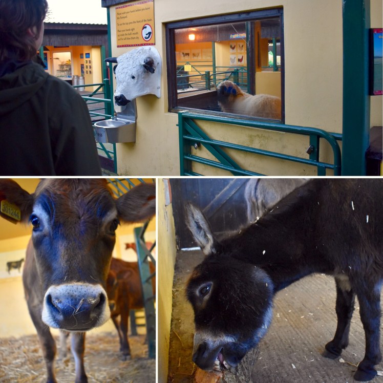 E9B6DC26-AF95-4FA4-A01D-BDDC29418AB4