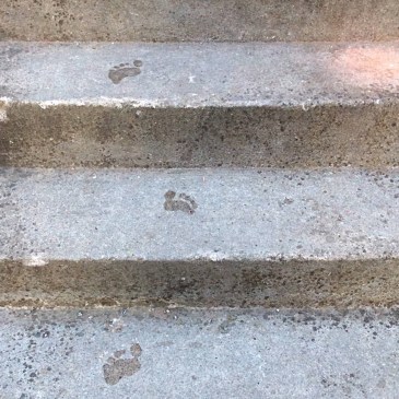 Special Needs #Learning at Home: How Can I Help? #autism #learningdifferences #learningdisability #nonverbal #SEN #homeschooling #homelearning #homeeducation