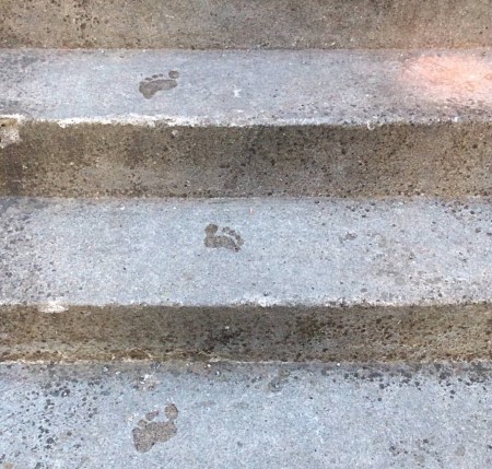 Special Needs #Learning at Home: How Can I Help? #autism #learningdifferences #learningdisability #nonverbal #SEN #homeschooling #homelearning #homeeducation