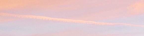 E2863FE3-317C-4E2A-8DF3-2E9858CD76E0