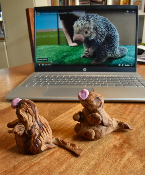 2A573088-7465-4D6D-8EF4-D676819D04ED