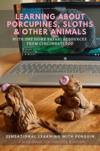 #Learning about porcupines, sloths & other #animals, with the #ZooHomeSafari from #Cincinnati Zoo #homelearning #learningdifferences #homeschooling