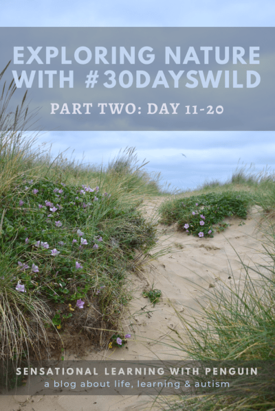 Exploring Nature With #30DaysWild, Part Two: Day 11-20, on sensationallearningwithpenguin.com. Outdoorsy fun & learning with my nonverbal autistic teenager with learning differences. #homeschooling #beachschooling #experientiallearning #multisensorylearning
