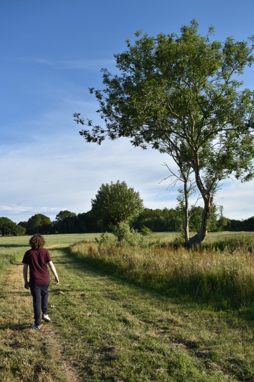 3E363D45-C3DA-4899-BB48-BD8EEB06AB9E