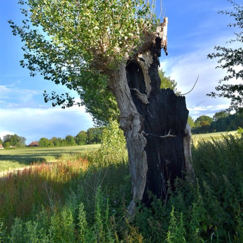 64105922-8CB7-4EBD-B113-7CC03767E384