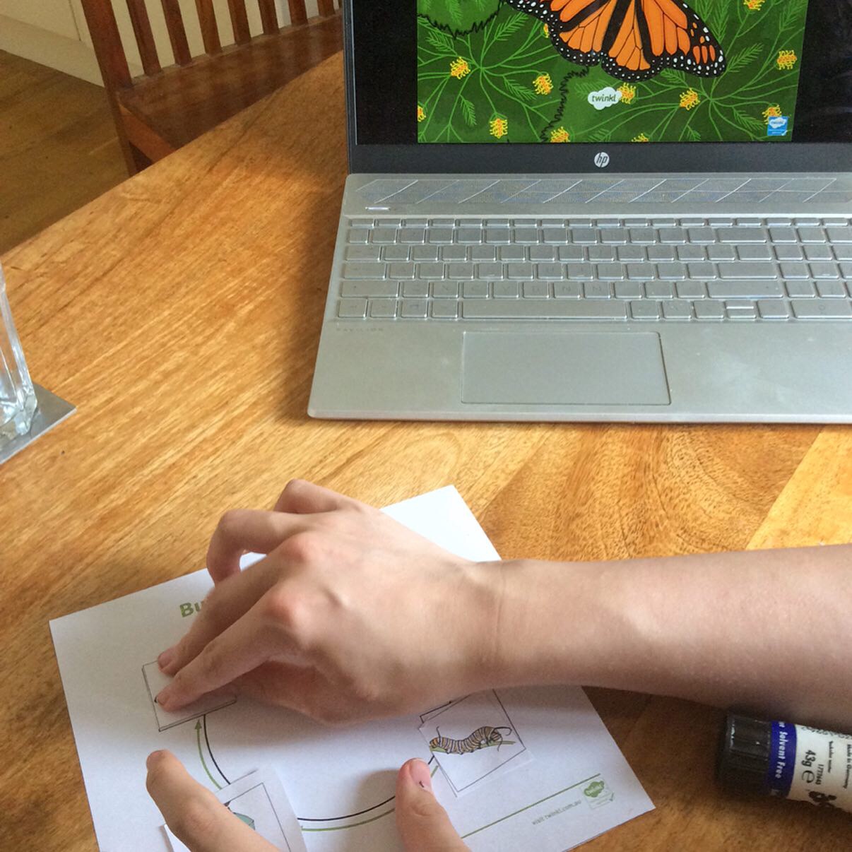 7FD62B92-BD0D-443B-A2D1-CA16C87B8BC2