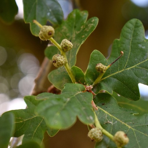 D2B4B3E7-94AB-47D0-AFF1-FD09D7F9E539