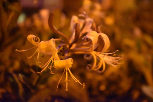 F2D5EA72-3835-4596-A301-8F987CF629D9