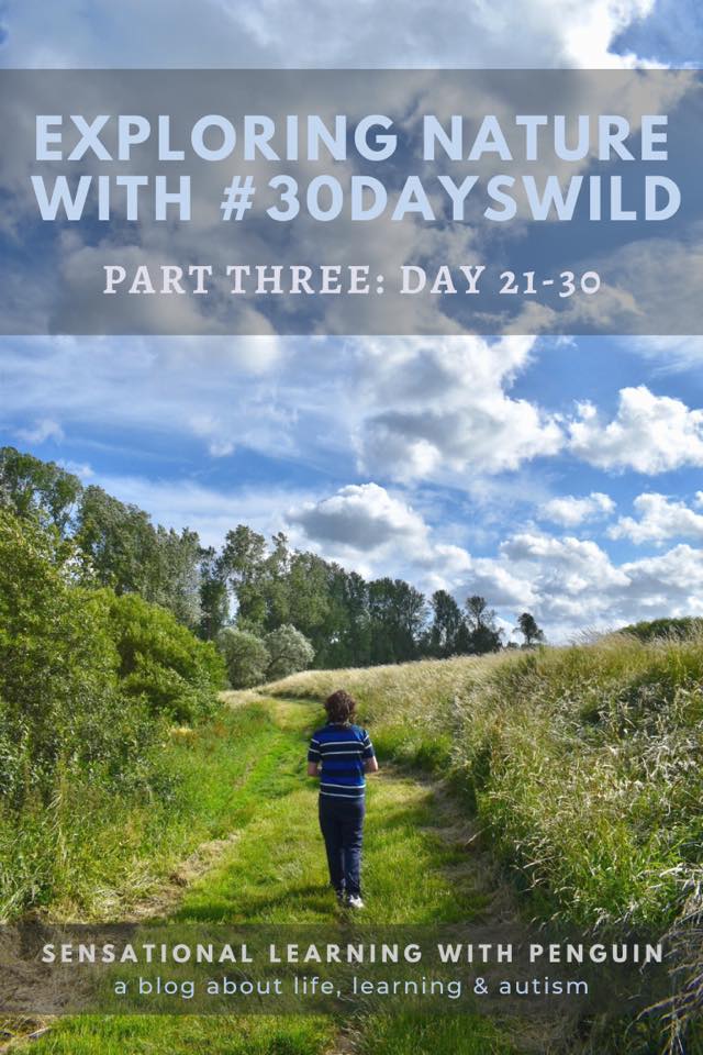 Exploring Nature with #30DaysWild, part 3. http://sensationallearningwithpenguin.com - a blog about Life, Learning & Autism